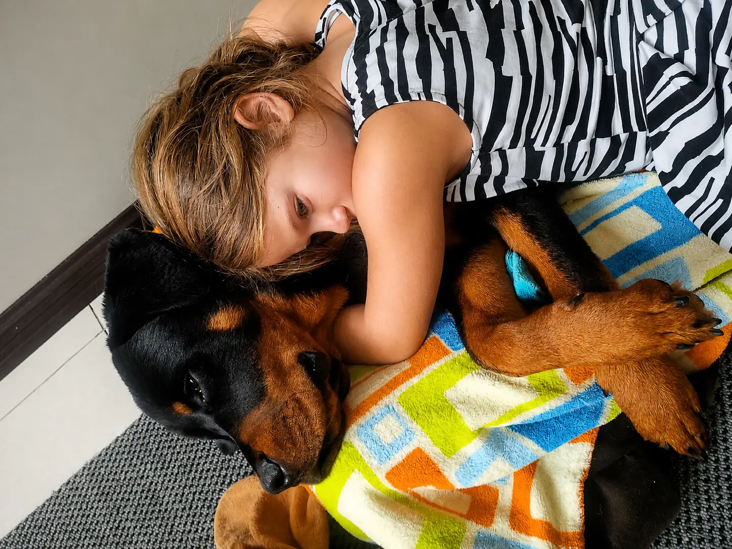 Niña pequeña abrazando a un Rottweiler acostados juntos en casa
