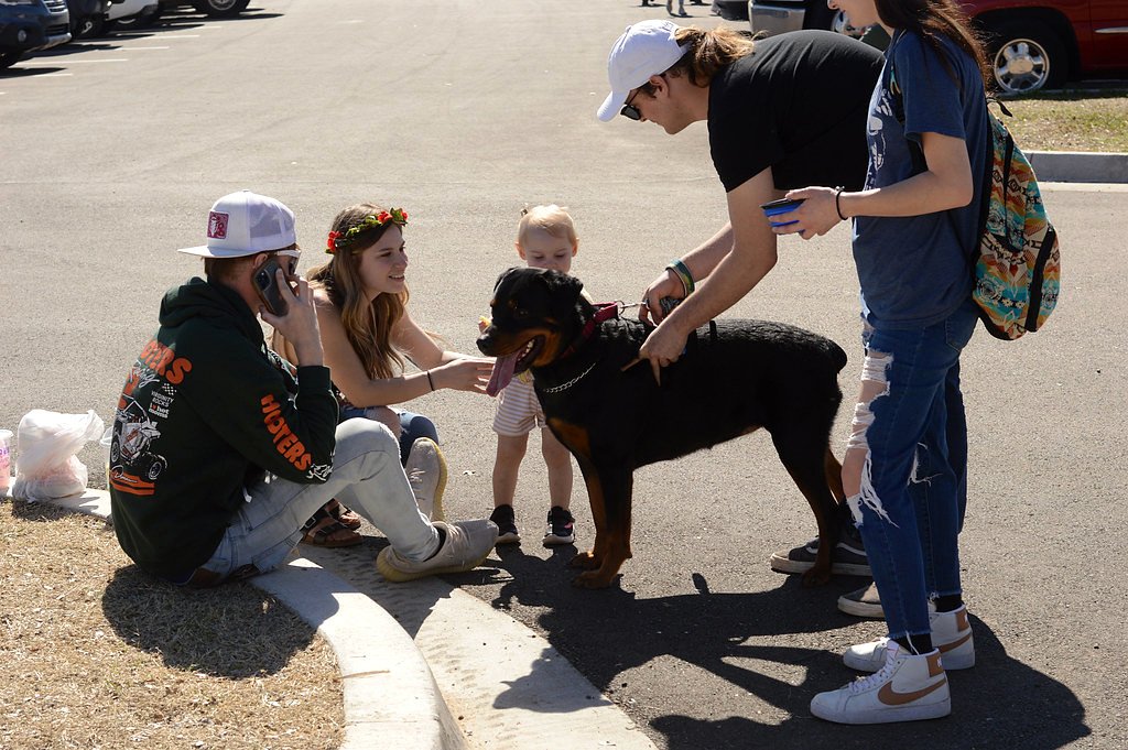 Rottweiler sociable rodeado de personas y un bebé en un paseo al aire libre