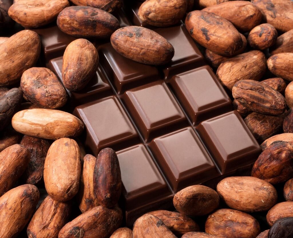 Chocolate y granos de cacao, alimento prohibido y tóxico para el Rottweiler