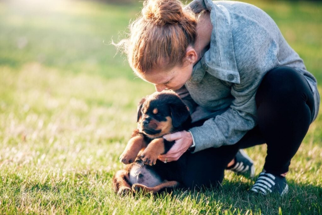 Cachorro Rottweiler junto a su dueña en el césped durante sus primeros meses de vida